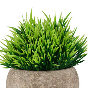 Artificial Faux Greenery